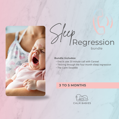 Sleep Regression Bundle