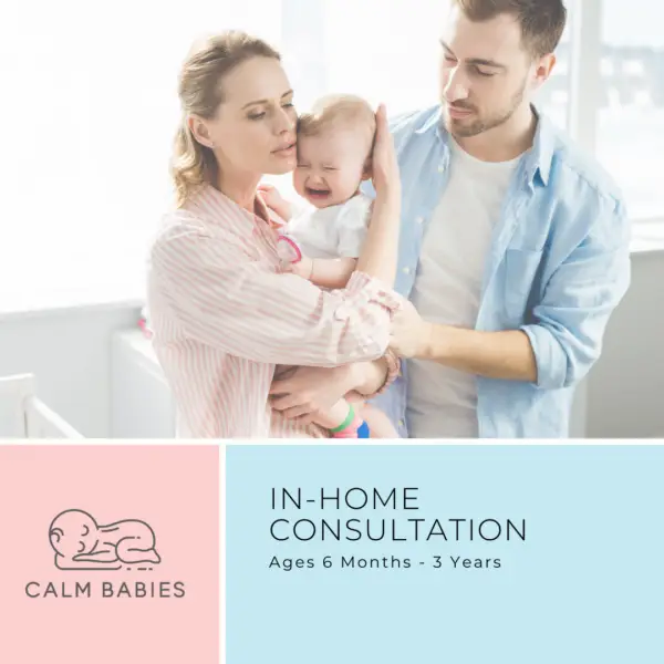 In-Home Consultations: 6 Months to 3 Years